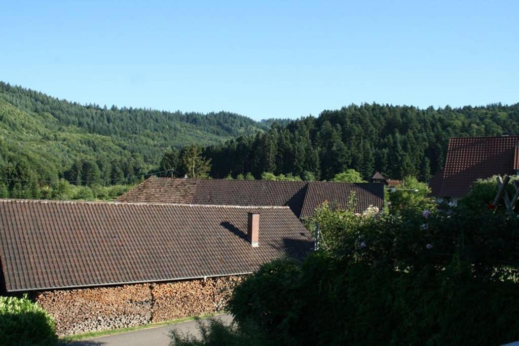 Ferienwohnung Hoehner Gengenbach Luaran gambar